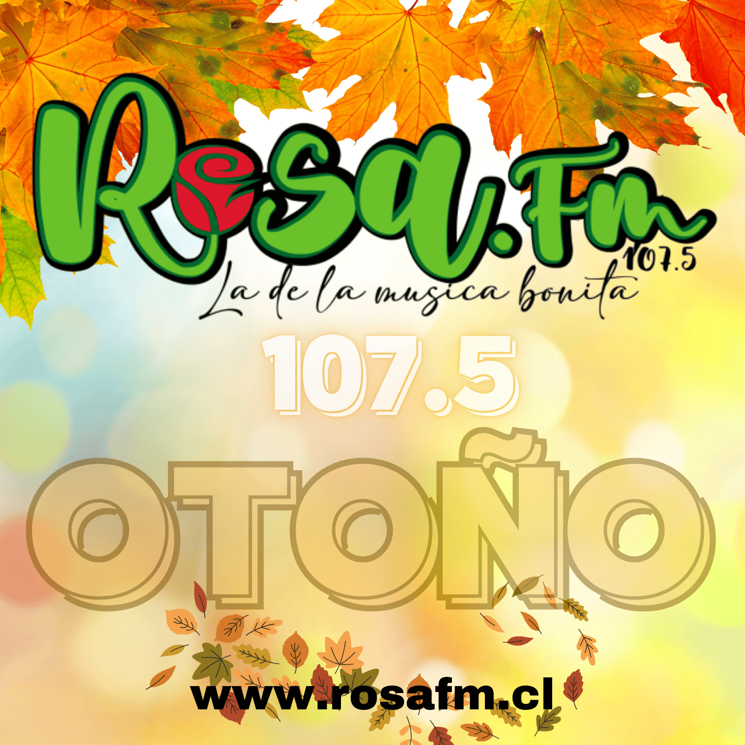 Rosa Fm 107.5